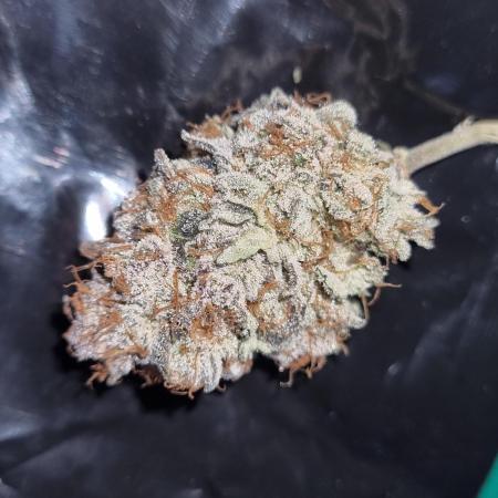 Tangerine Dream 🍊