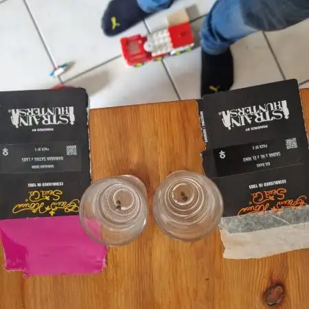 Canasseur 1 Mineral Grow