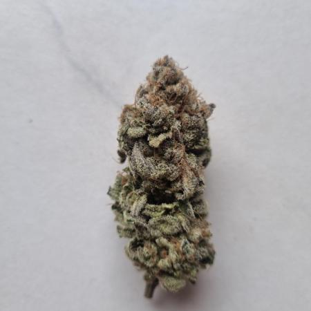 Tangerine Dream 🍊