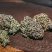 Tangerine Dream 🍊