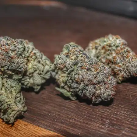 Tangerine Dream 🍊