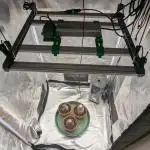 Night Owl Winter Run