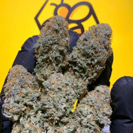 2.Grow: Blue Zushi & Kmintz