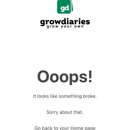 5.Grow neuer Test Lauf😅🏼