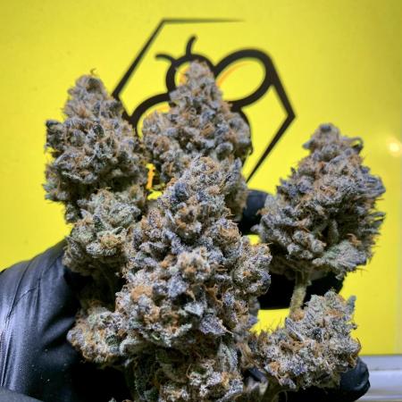 6.Grow: Papayton