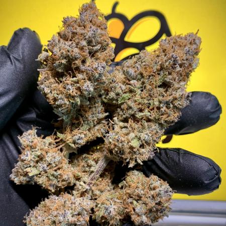 5.Grow: NewSetup Testrun 4 Fastbuds Aut.