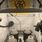 4.Grow-New Setup testrun