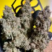 8.Grow: Z42