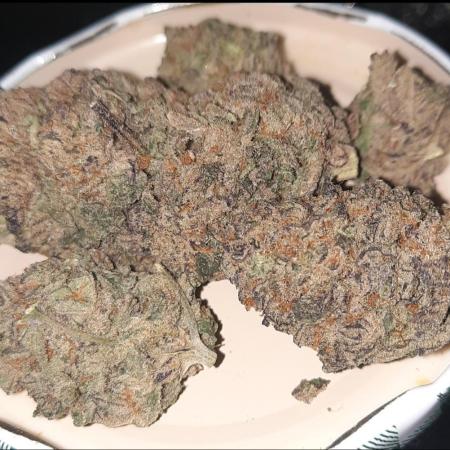 Tropicanna poison xl auto