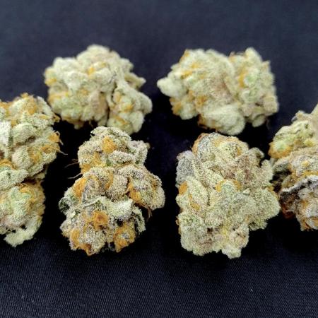 Orange Bud 2.0 - Dutch Passion