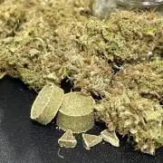 FBuds x Biobizz 2.0