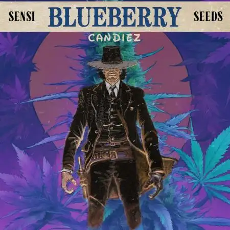 BLUEBERRY CANDIEZ AUTO | SENSI SEEDS