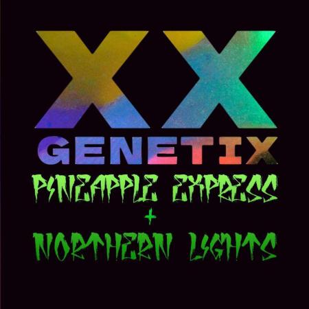 NORTHERN EXPRESS | XX GENETIX