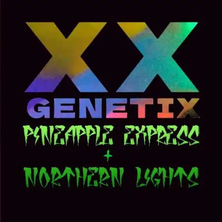 NORTHERN EXPRESS | XX GENETIX