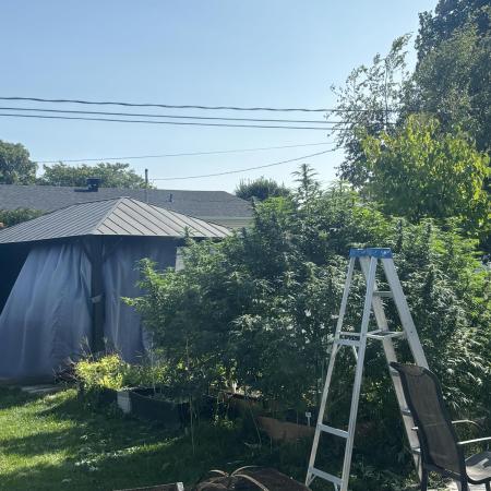 Outdoor 2026