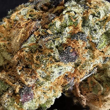 End of Photoperiodics grow