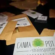 Cannapot Strainspotter Grow
