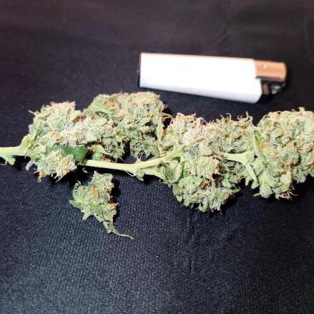 Sour Diesel auto - Humboldt