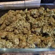 My Zoe Runtz F1 Hybrid Auto (Zamnesia)