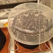 Purple Haze Auto #13 #01