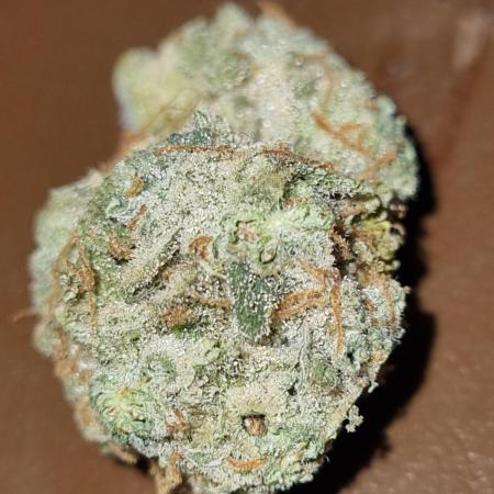My Zoe Report - Pineapple Express F1-Hybrid Automatic (Zamnesia)