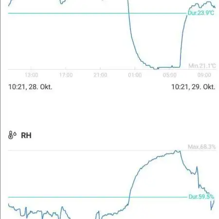 My Zoe Wurlz F1 Hybrid  Auto (Zamnesia)