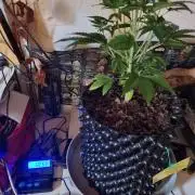 GodFeather OG F1 Auto (First) #18 #03