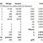 My Zoe Runtz F1 Hybrid Auto (Zamnesia)