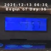 My Zoe Purple Queen Automatic (RQS)