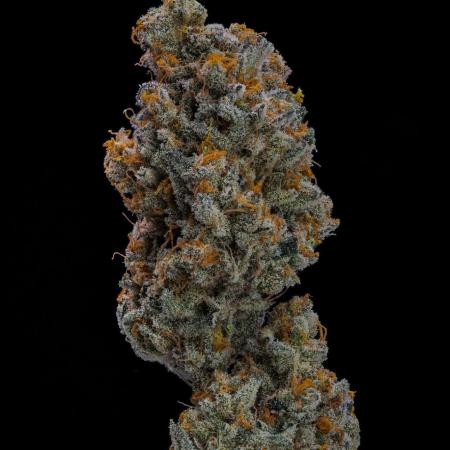 Kannabia Pink Gelato - Pheno Hunting