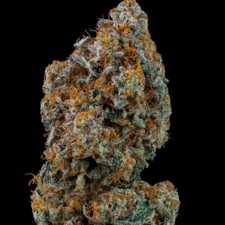 Kannabia Zoap Rosé - Pheno Hunting