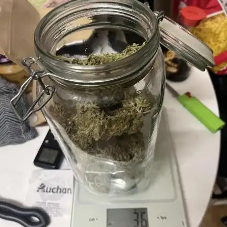 OG Kush Auto GB