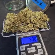 First Balcony Run | Zero Maintenance