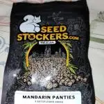 Mandarine panties