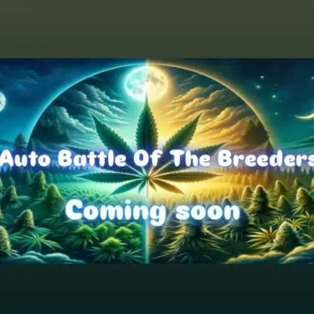 Auto Battle of the breeders
