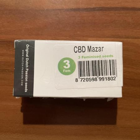 💊 CBD Mazar by Dutch Passion (Medical Grow)