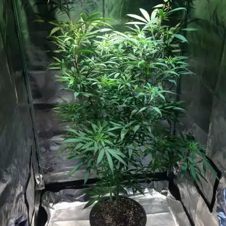 Outdoor Ontario Canada 2019
