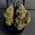 Dirty Grape