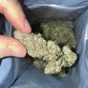 Biskanté x Kryptochronic