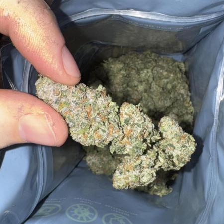 Biskanté x Kryptochronic