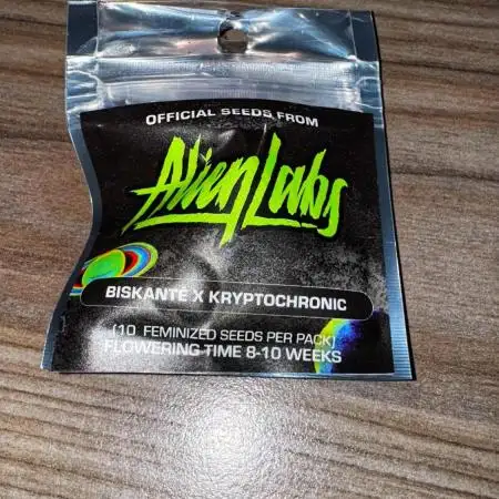 Biskanté x Kryptochronic