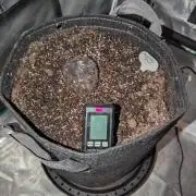 Forbidden Fruitz Indoor Grow