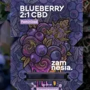 Blueberry CBD 2:1 by Zamnesia