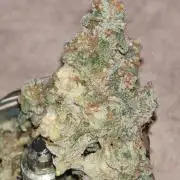 AK 47