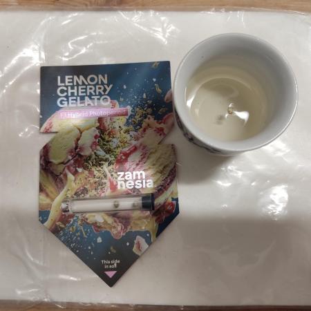 Lemon Cherry Gelato F1 Zamnesia