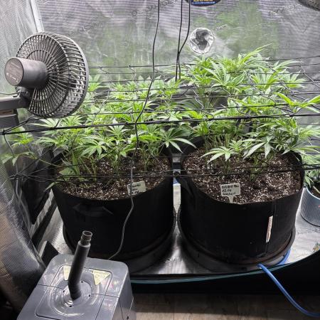 #TPB Best Training GG#4 & Biscotti Fem