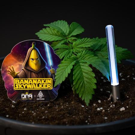 Bananakin Skywalker
