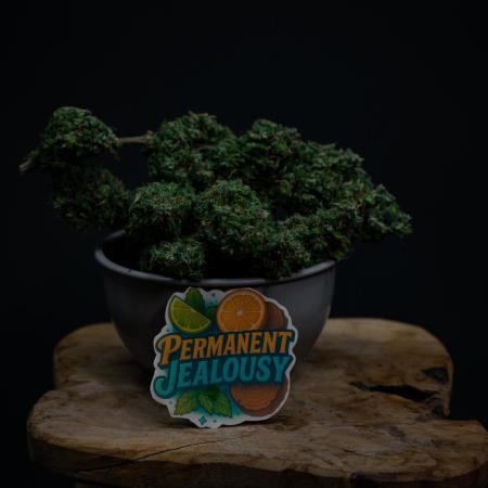Permanent Jealousy XL auto