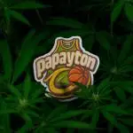 Papayton 🏀