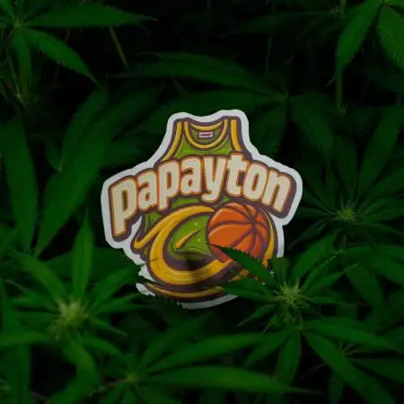 Papayton 🏀